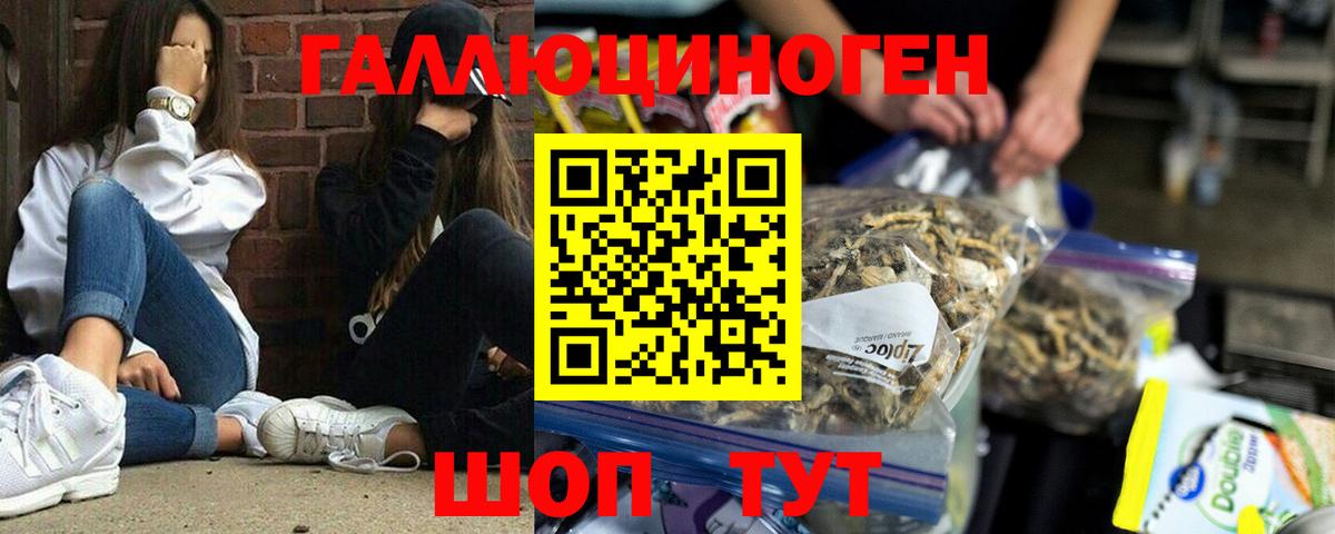 купить наркотики цена  Псилоцибиновые грибы Magic Shrooms  Вход с VPN  Галлюциногенные грибы прущие грибы  Луховицы 