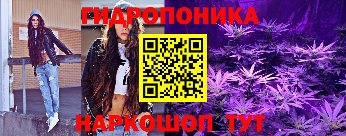 Каннабис OG Kush Луховицы